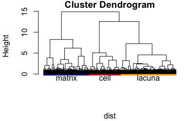 Hierarchical cluster analysis: the dendrogram.